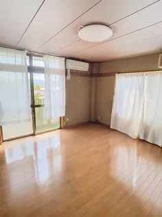 サンリッチ新橋【301号室】の居間