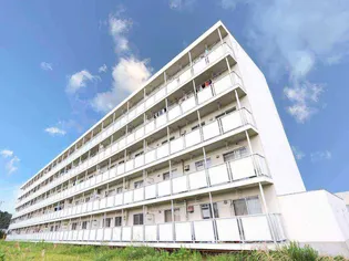 ビレッジハウス河南1号棟【5階】の外観
