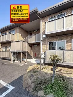 フローラIIの画像