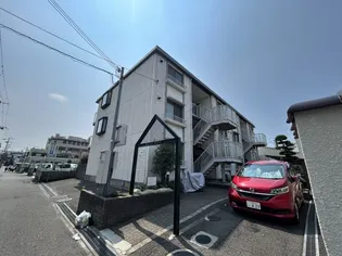 サンコートキタイの画像