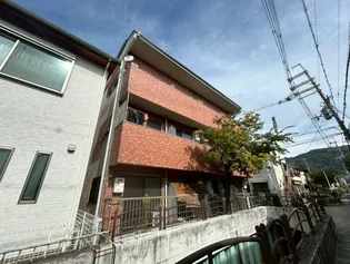 グレースミユキの画像