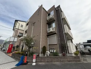 ラガーコートの画像