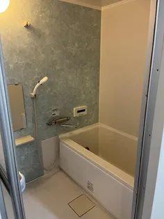 エビハラサングリーン川口【2F号室】の風呂