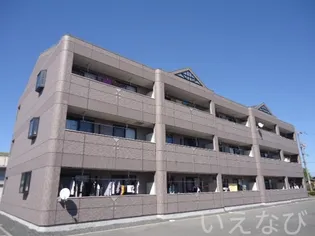 岡山県岡山市北区久米【マンション】の外観