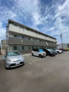 アネラ ハレの画像