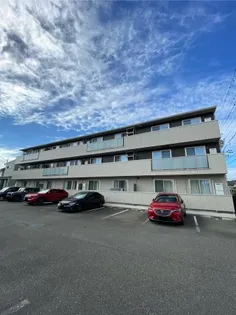 オハナ ハレの画像