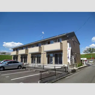 フェリスの画像