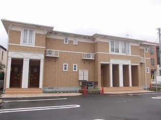 プリムローズBの画像