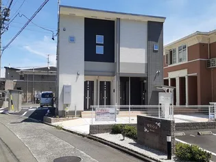 パピヨンの画像