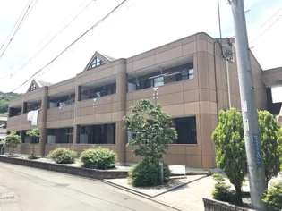 パインハートの画像