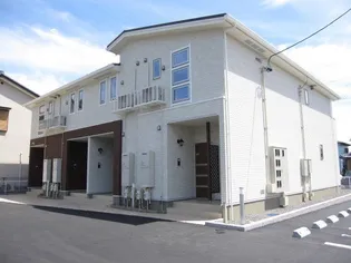 シトラスの画像