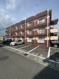 セイントフローレンスⅡ【2階】の外観