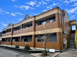 パインハートの画像