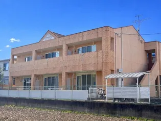 エバーグランディ 美の画像