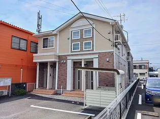 ボニートの画像