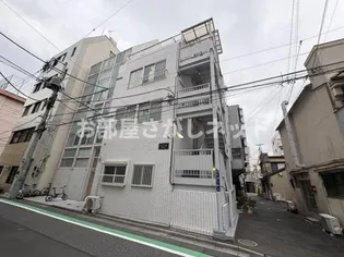 シェモアコトブキの画像