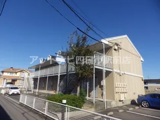 プライムブリリアントAの画像