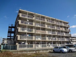 ドエルウィステリアの画像