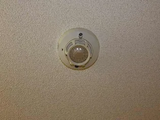 サープラス石塚B【1階】のその他画像