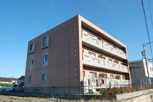 アネシスの画像