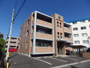 エターナルリーフNの画像