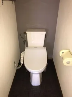 メゾンボザールⅡ【B203号室】のその他画像