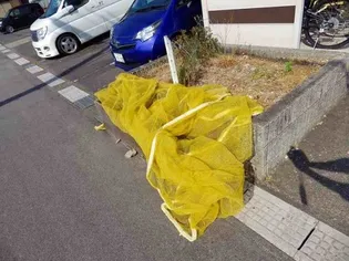 カーサセレーノ A棟【2階】のその他画像