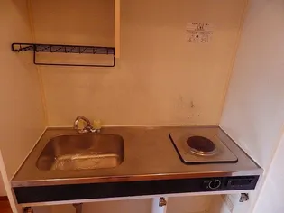 セレーナK【2階】のキッチン