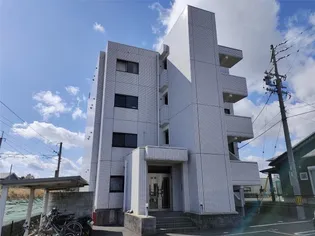 シャルマンIIの画像
