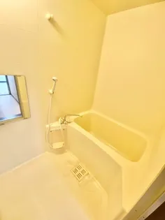 アネシス西浦【1B号室】の風呂