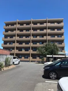 ルールマランの画像