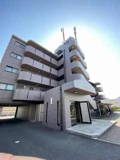 サフィニア・F【3D号室】の外観