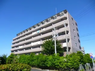 グレースマンション藤【7階】の外観