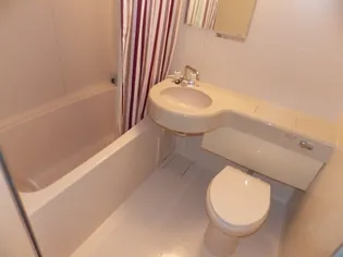 バスティード西浜田【2A号室】の風呂