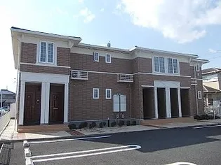 フォレスト ハナミズキBの画像