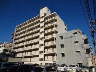 メゾン太平洋【8階】の外観