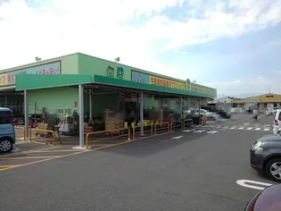 サンルミエール【3階】の周辺