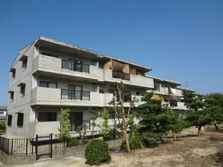 VIP-IN太平洋サウスヒルズ【3階】の外観