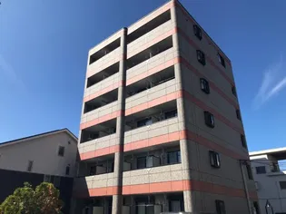 アネモネの画像