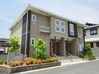 ラフィークAの画像