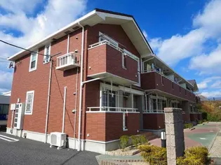 エーデルフィットの画像