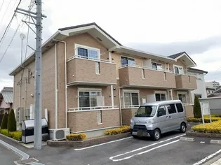 オリーブBの画像