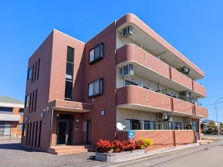 カンブリアの画像