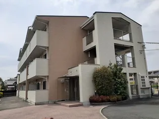 フラン アンジュの画像