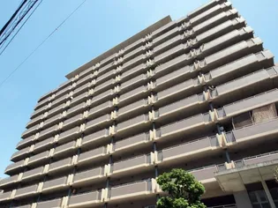 南海ハイライズフラット天下茶屋【10階】の外観