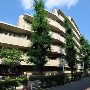 グレイスコート志村三丁目【3階】の外観