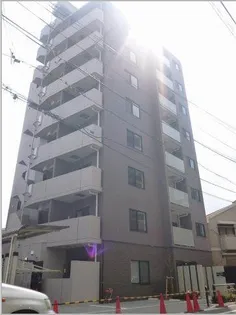 DIPS小竹向原の画像
