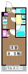 ラフィスタ志村坂下【5階】の間取り