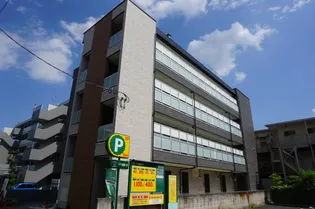 グレイス蓮根の画像