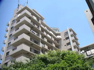 パールモア新井堂の画像